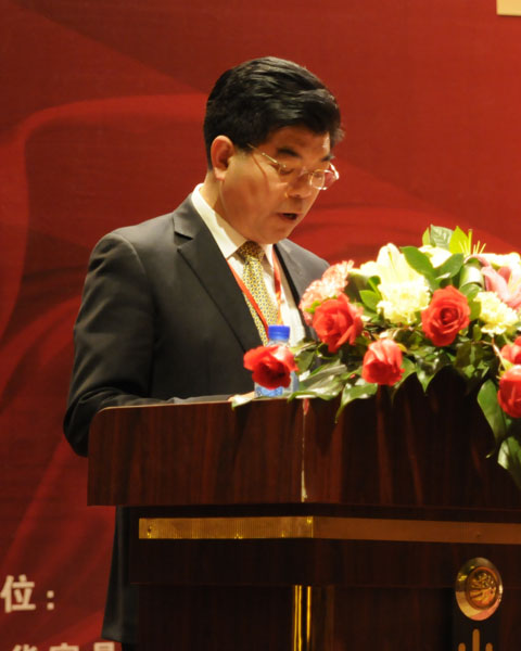 張祝林 深圳市寶安區紅木家具行業協會會長,深發紅木家具董事長