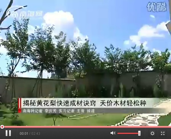 常用種植：海南黃花梨種植方法