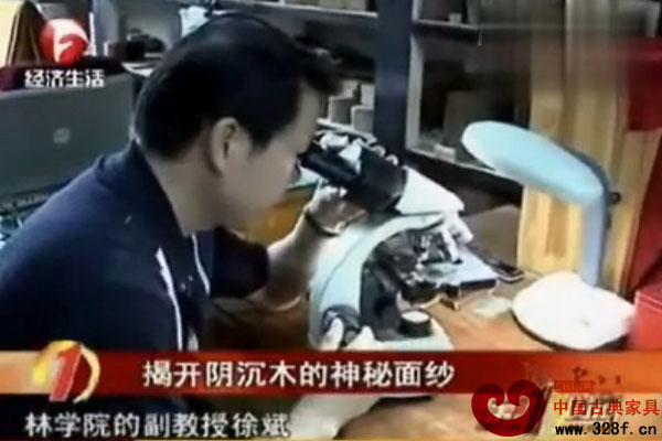 揭開陰沉木的神秘面紗（視頻）