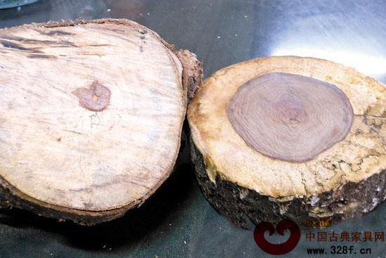 海南黃花梨之賭：一棵樹賣十幾萬(wàn) 賭贏可獲利上百萬(wàn)