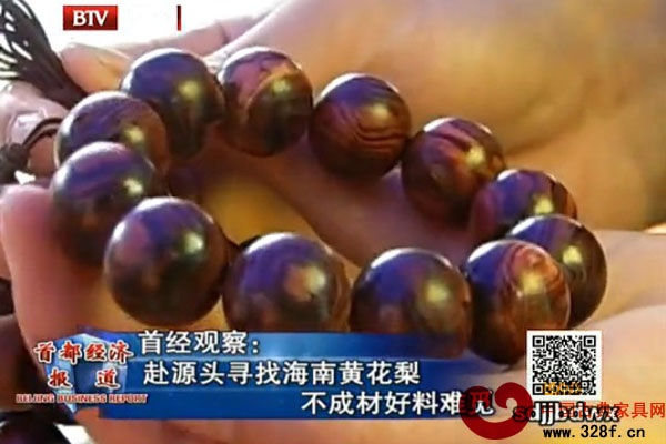 赴源頭尋找海南黃花梨 不成材好料難覓（視頻）