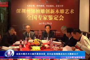 全國木雕藝術大咖齊聚泰和園 深圳絲翎檀雕成當代木雕新名片（視頻）