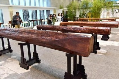 巨型罕見海南黃花梨圓木在云南昆明展出