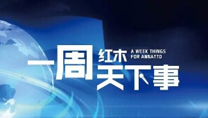 一周紅木天下事：第四屆東陽紅博會開幕，全國經銷商大會精彩紛呈 | 第37期