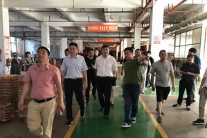 東陽市委書記和近百家規上企業齊聚雙洋紅木看環保