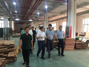 鞏固再提升，金華市政協副主席參觀指導新明紅木環保工作