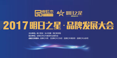 2017明日之星·品牌發展大會