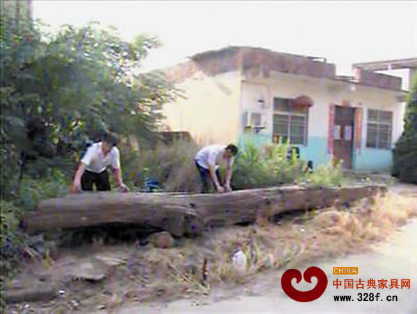 湖口發現1500年歷史烏木