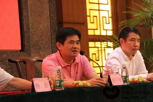 大涌鎮黨委委員謝巧明發言 大涌鎮黨委委員謝巧明發言