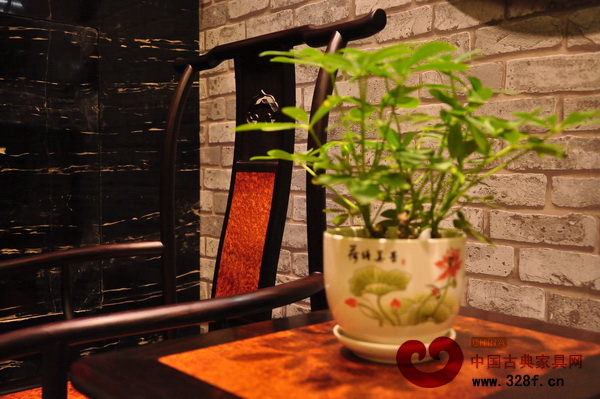 伍氏大觀園大紅酸枝頂級收藏館內綠植錯落
