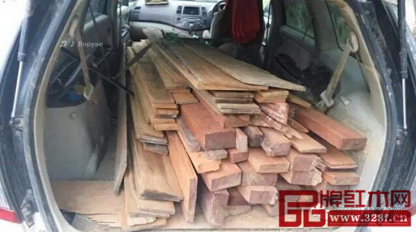 殯儀車上搜出大量非法木材 殯儀車上搜出大量非法木材