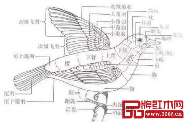 泰和園在運(yùn)用“絲翎檀雕”技法時(shí),十分注重鳥(niǎo)類各個(gè)部位翎毛的長(zhǎng)向 泰和園在運(yùn)用“絲翎檀雕”技法時(shí),十分注重鳥(niǎo)類各個(gè)部位翎毛的長(zhǎng)向