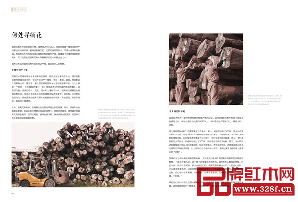 《家·國(guó)壽》2016年知秋號(hào)——何處尋緬花 