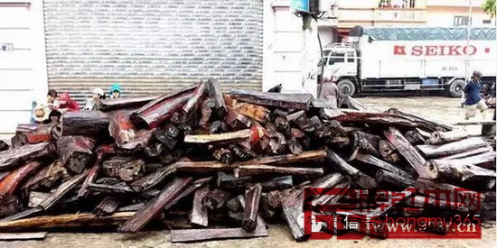 面對禁令,大量堆積木材等候出關(guān) 面對禁令,大量堆積木材等候出關(guān)