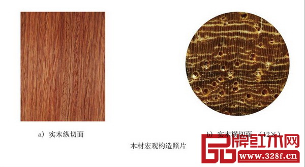《紅木》國標中大果紫檀(緬甸花梨)木材宏觀構(gòu)造照片,左邊為實木縱切面,右邊為實木橫切面 《紅木》國標中大果紫檀(緬甸花梨)木材宏觀構(gòu)造照片,左邊為實木縱切面,右邊為實木橫切面