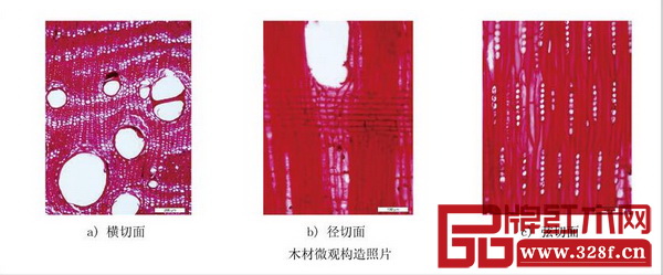 《紅木》國標中大果紫檀木材微觀構(gòu)造照片，從左到右依次為橫切面、徑切面、弦切面 