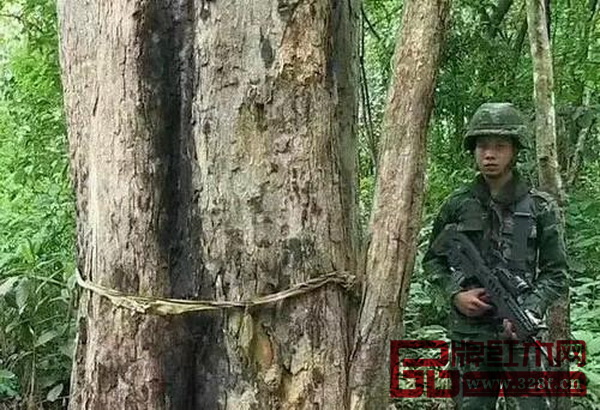 緬甸政府加大打擊走私力度,緝私警方全副武裝 緬甸政府加大打擊走私力度,緝私警方全副武裝