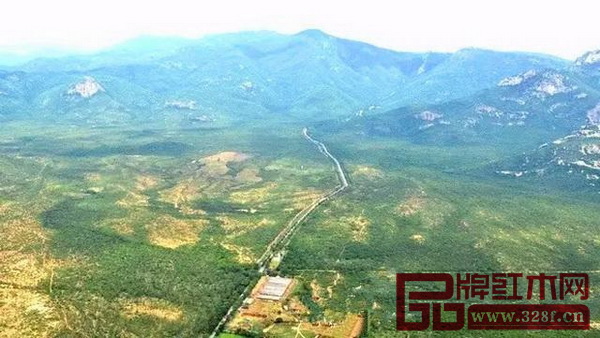歷時8個月挖掘的人工壕溝依然無法阻止塞沙杰勒姆森林的非法紫檀木砍伐行為 歷時8個月挖掘的人工壕溝依然無法阻止塞沙杰勒姆森林的非法紫檀木砍伐行為