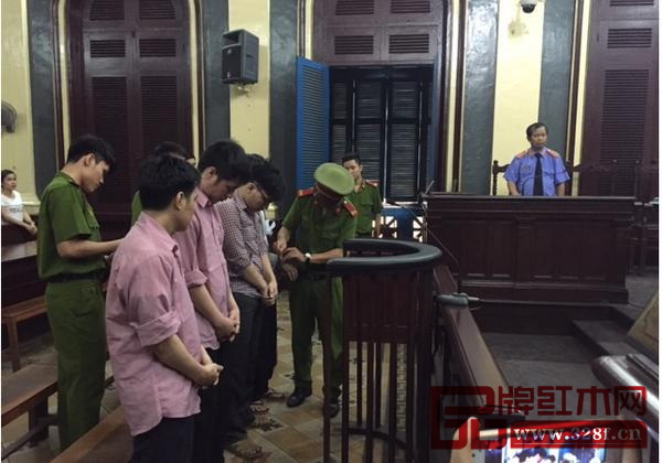 越南政府打擊木材走私力度不斷加大，走私犯一律被送上法庭審判