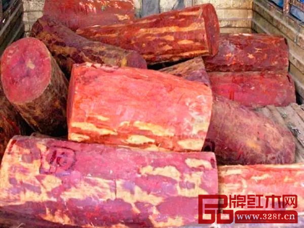 被查獲的33根紫檀原木 被查獲的33根紫檀原木