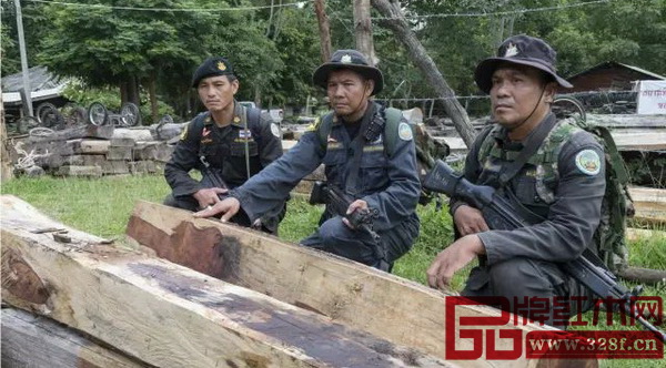 泰國棟巴耶延—考艾森林綜合體保護區(qū)內(nèi)的護林員及繳獲的交趾黃檀鋸木 泰國棟巴耶延—考艾森林綜合體保護區(qū)內(nèi)的護林員及繳獲的交趾黃檀鋸木