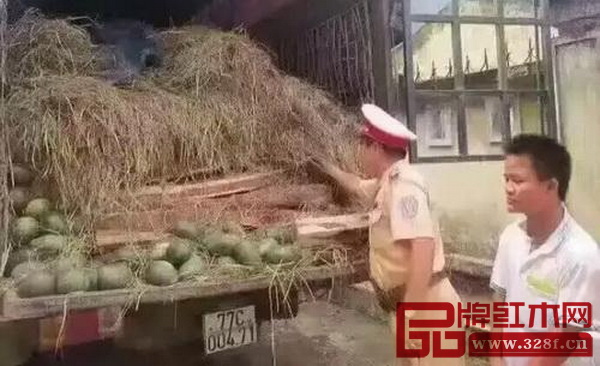 走私者利用水果掩護紅木運輸