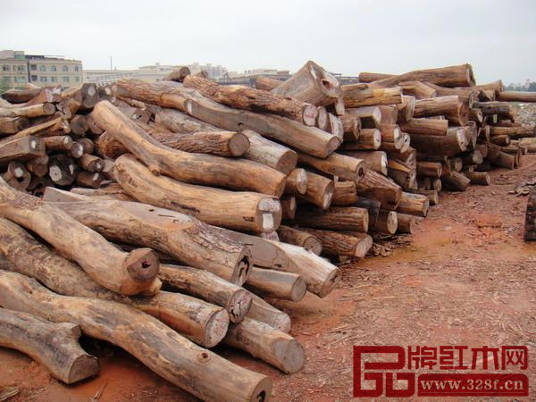 莫桑比克小葉紅檀原木