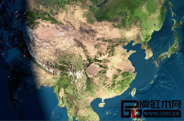 我國的森林覆蓋率很低,紅木原材的進口依存度超過90% 我國的森林覆蓋率很低,紅木原材的進口依存度超過90%