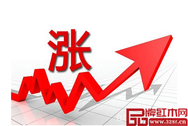 刺猬紫檀,漲幅達75% 刺猬紫檀,漲幅達75%