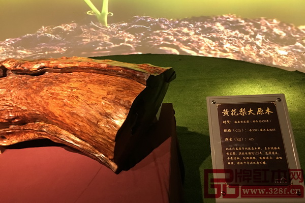 紅博城博物館群落內的黃花梨原木 紅博城博物館群落內的黃花梨原木