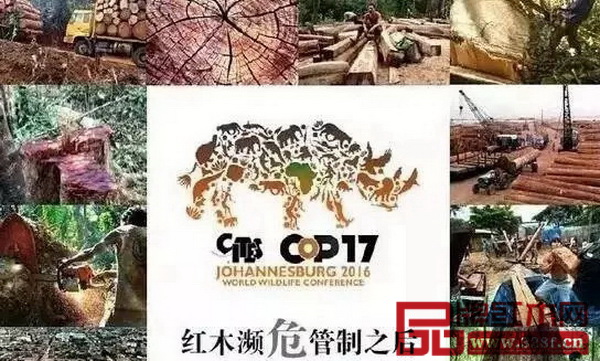 《瀕危野生動(dòng)植物種國際貿(mào)易公約》執(zhí)行后導(dǎo)致紅木家具和原材料價(jià)格倒掛加劇