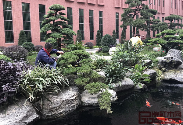 園藝人對綠植花卉等進行修剪、整理