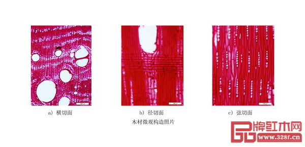  《紅木》國標中緬甸花梨微觀構造照片（從左到右依次為橫切面、徑切面、弦切面）