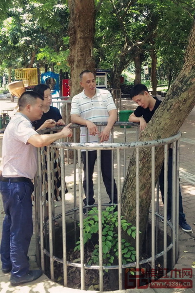 區氏臻品團隊與當地行家共同研究海南黃花梨樹的生長情況