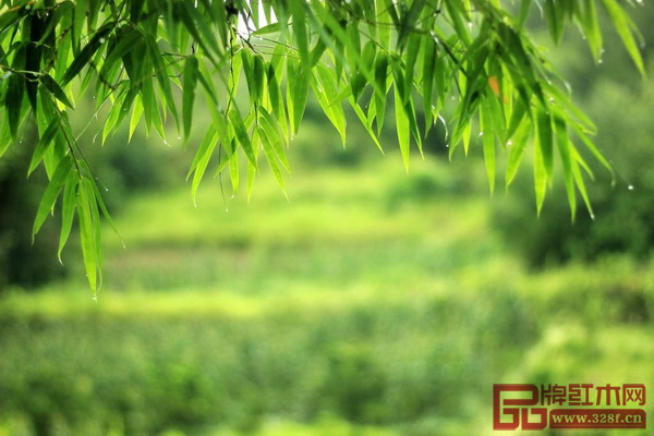 竹子象征著高雅節(jié)氣，從古至今都受到文人雅士的喜愛