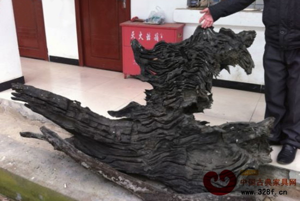 烏江邊挖出的烏木