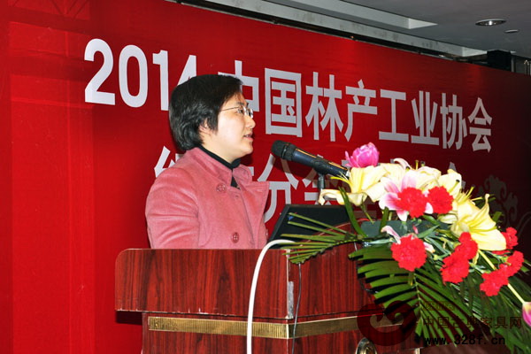 中山市沙溪鎮黨委委員、副鎮長梁冬曉在理事大會上做精彩發言