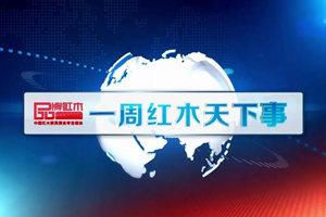 一周紅木天下事：海南黃花梨枯樹50輪競價后264萬元成交 | 第45期