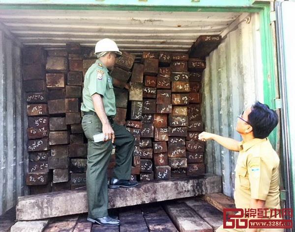 印度尼西亞港口查獲的非法菠羅格（圖片來源：《雅加達郵報》）