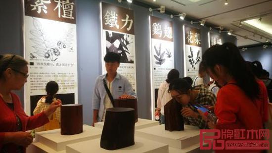 “中國蘇作紅木文化展”吸引了不少愛好者 “中國蘇作紅木文化展”吸引了不少愛好者
