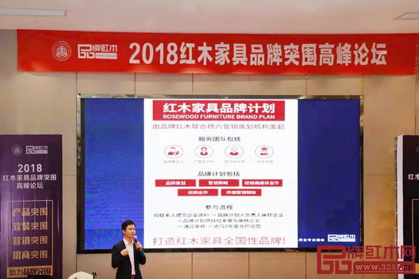 全聯(lián)藝術(shù)紅木家具專業(yè)委員會執(zhí)行會長、弘木傳媒CEO林偉華介紹了“中國紅木品牌計劃” 全聯(lián)藝術(shù)紅木家具專業(yè)委員會執(zhí)行會長、弘木傳媒CEO林偉華介紹了“中國紅木品牌計劃”