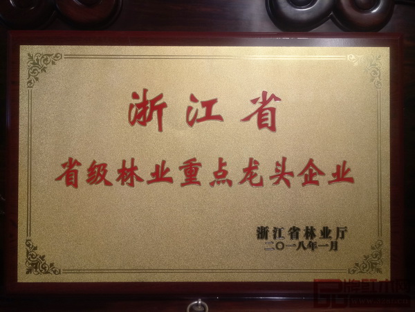 大成尚品榮獲“2017年度省級林業(yè)重點龍頭企業(yè)”稱號 大成尚品榮獲“2017年度省級林業(yè)重點龍頭企業(yè)”稱號