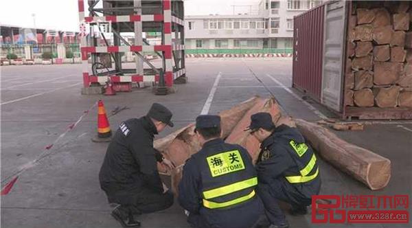 在上海海關“藍天2019”首輪集中打擊行動中查獲刺猬紫檀438噸