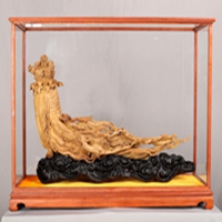 國方家居之美驚艷深圳文博會，大師作品榮獲金獎！