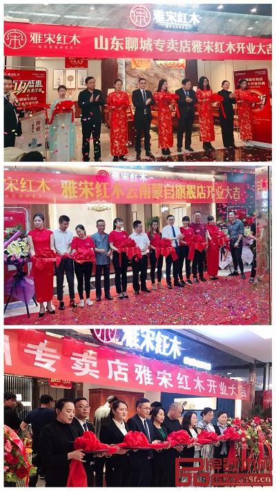 雅宋紅木部分旗艦店開業盛況