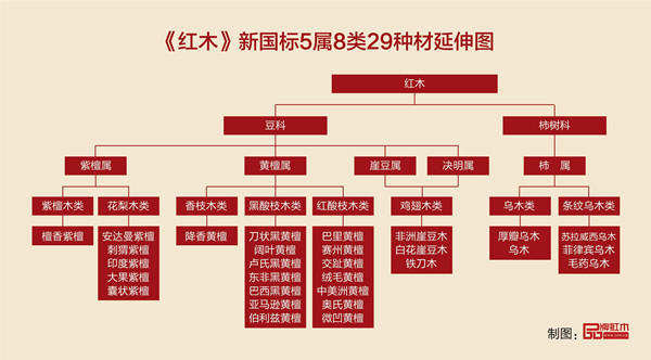 《紅木》新國標實施一周年  誰動了我們的紅木資源？