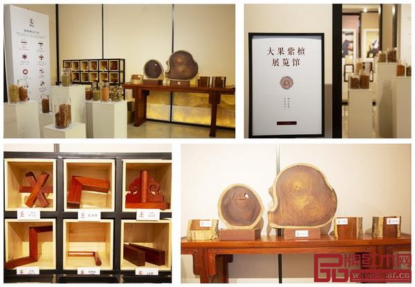 中國國壽紅木家居文化藝術館內策劃的大果紫檀展覽館展示了木材的多種形態