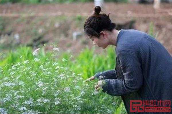 隱居終南山的女子 隱居終南山的女子