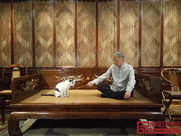 馬未都先生與觀復博物館里的貓館長 馬未都先生與觀復博物館里的貓館長