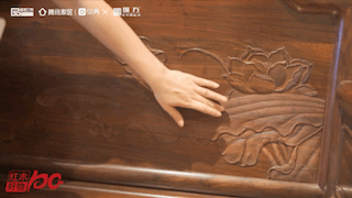 亭亭玉立的蓮花、生機蓬勃的蓮葉,充滿了張力 亭亭玉立的蓮花、生機蓬勃的蓮葉,充滿了張力